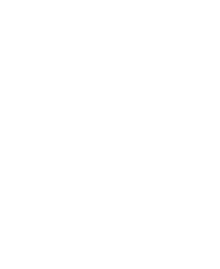 brilliant distinctions program logo