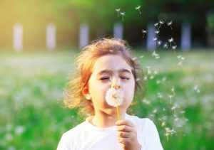 Child blowing dandelion into the wind