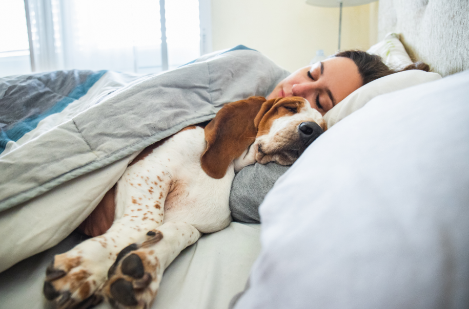Woman sleeping in bed with dog